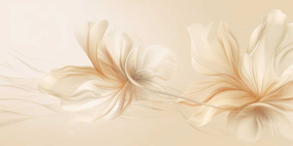 THE FIRST CLASS(ザ・ファーストクラス)のバナー